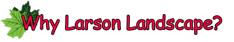 Why
        Larson Landscape?