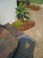 Hardscape_52