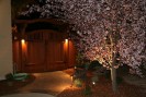 Lighting_24