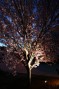 Lighting_32